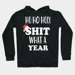 Ho Ho Holy Shit What A Year Hoodie